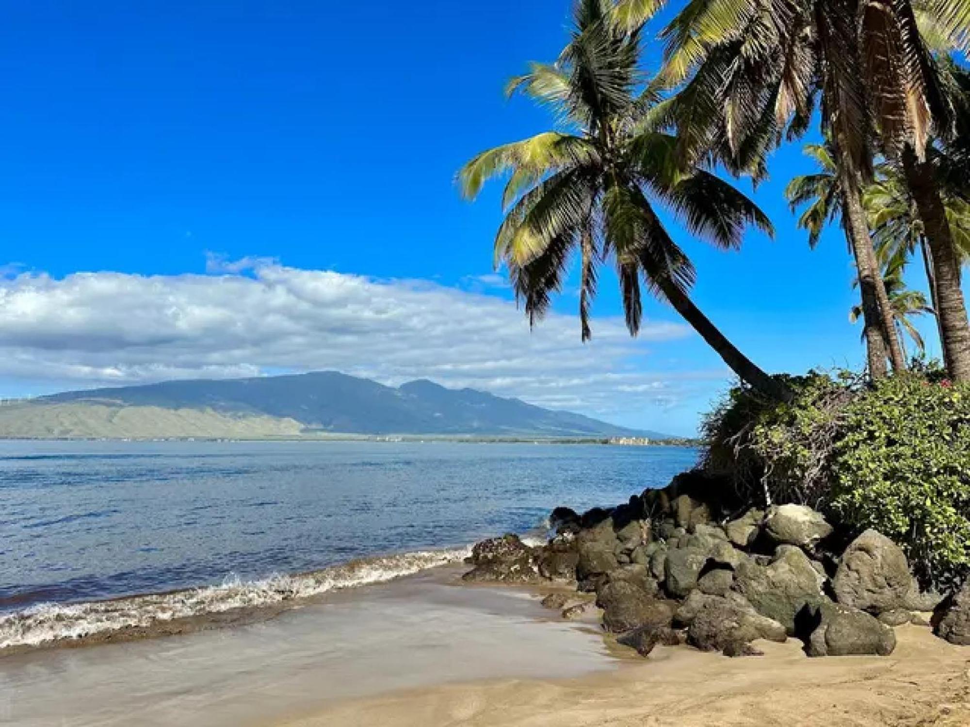 3Mins Walk To Beach! Laundry, Pool, Hot Tub & More Kihei Dış mekan fotoğraf